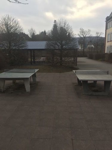 Tischtennis bei Lehmskaute 24
