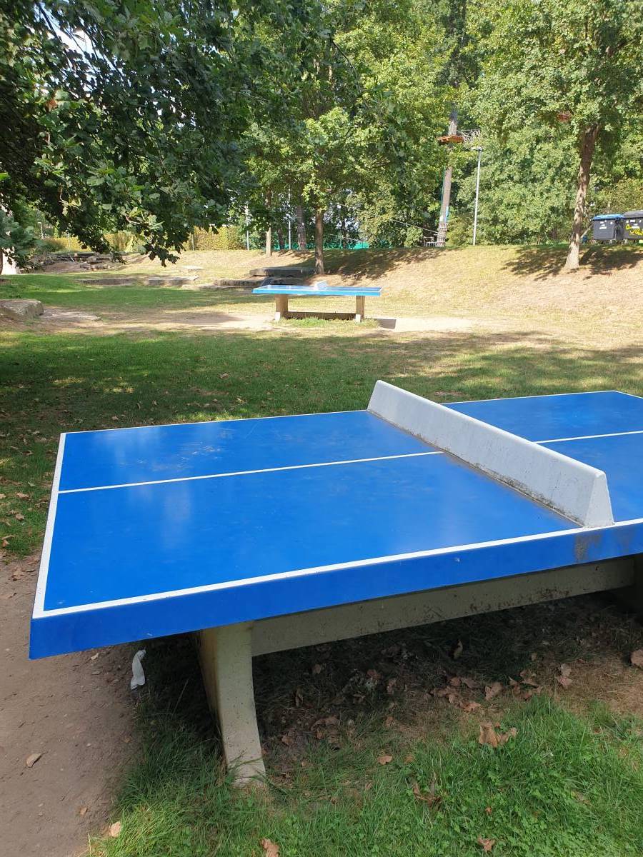 Tischtennis bei In den Allerwiesen 1