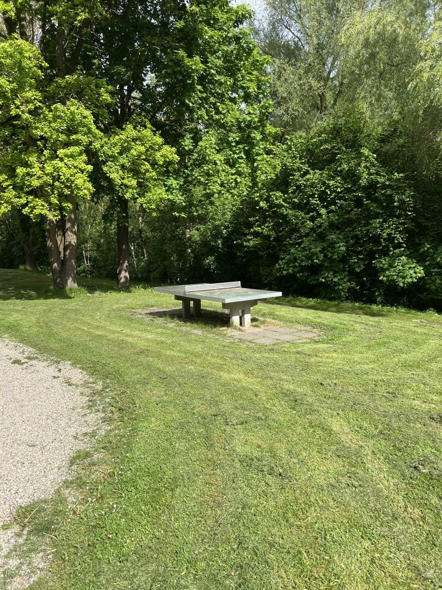 Tischtennis bei Haydnstraße