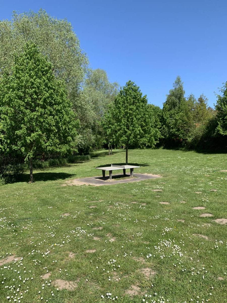 Tischtennis bei Urlauberdorf 55B