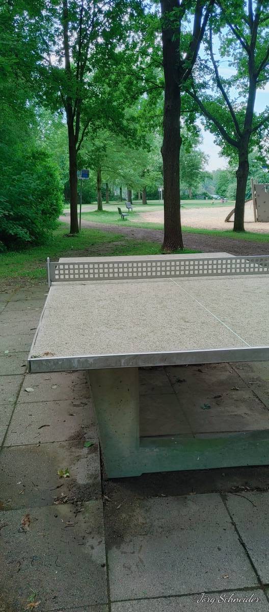 Tischtennis bei Seeweg