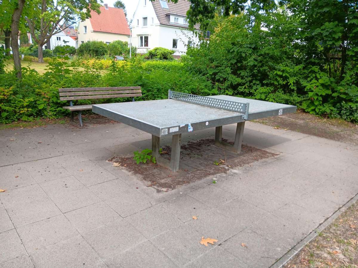 Tischtennis bei Im Büntefelde