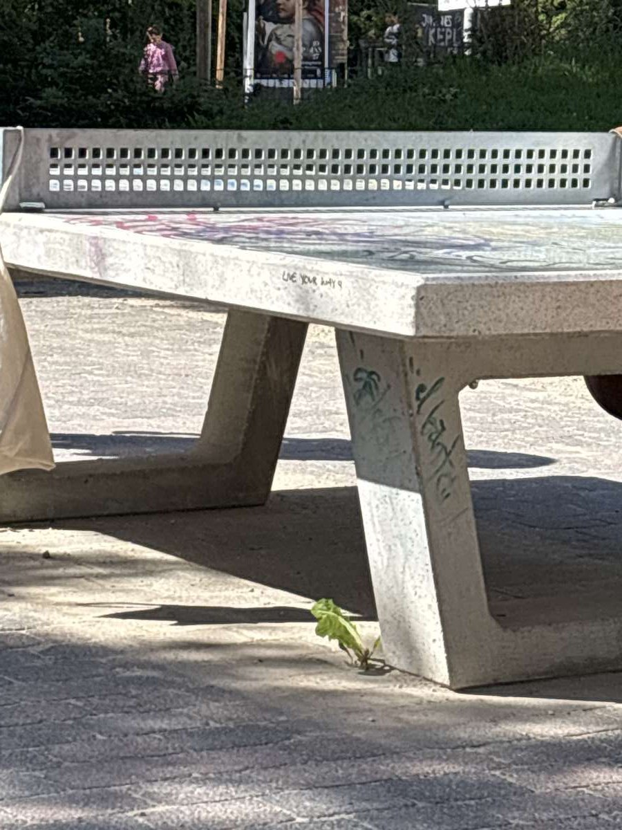Tischtennis bei Dieskaustraße