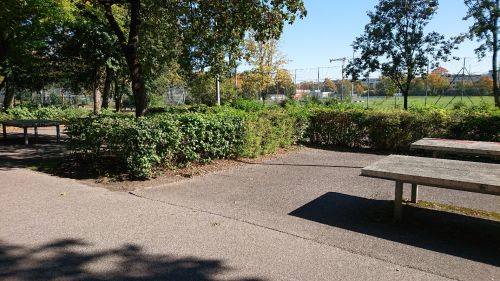 Tischtennis bei Guerickestraße 37