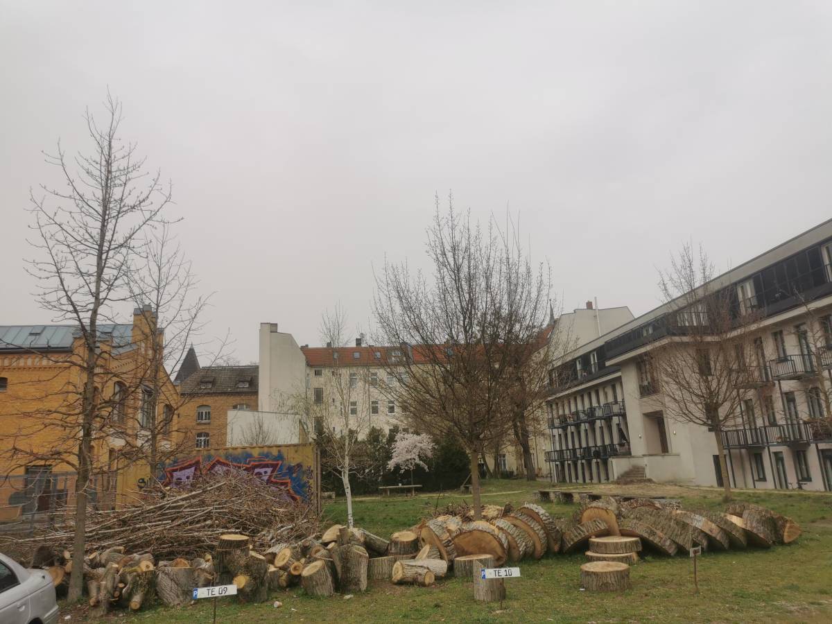 Tischtennis bei Wilhelminenhofstraße