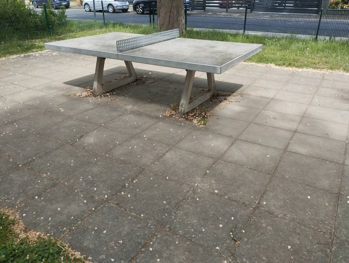 Tischtennis bei Schönbornstraße