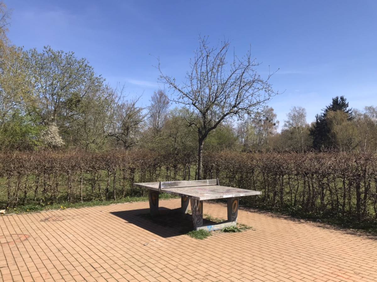 Tischtennis bei Grenzweg