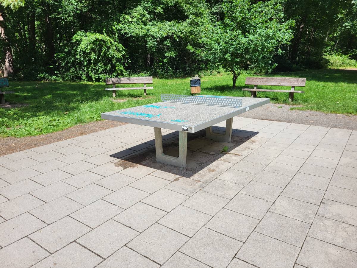 Tischtennis bei Birkenweg