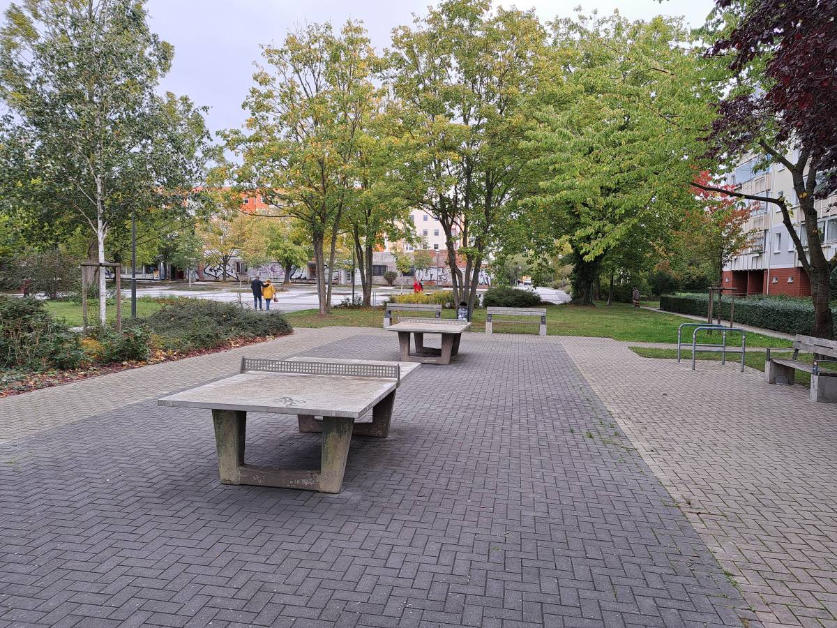 Tischtennis bei Lichtenhäger Brink