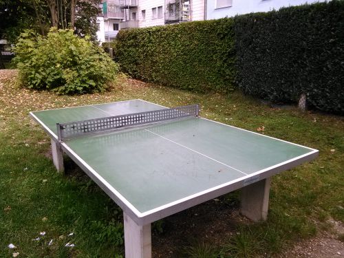Tischtennis bei Rosenau 13