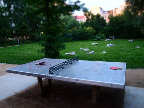Tischtennis bei Hochstädter Straße 8
