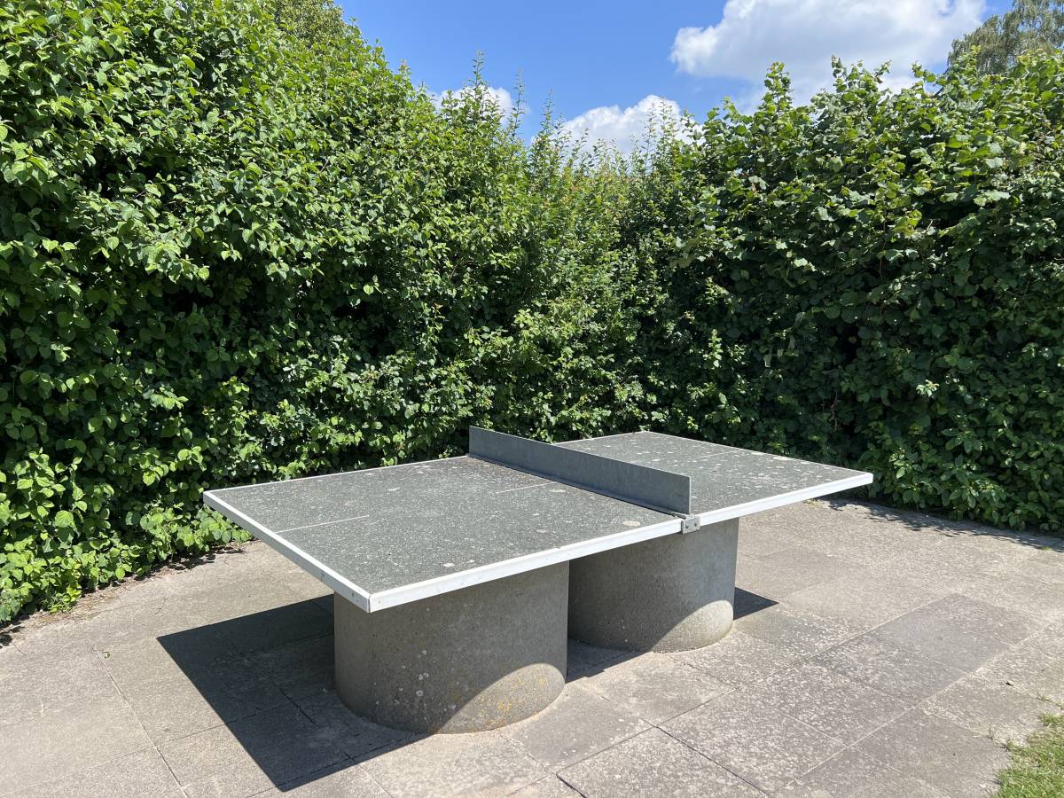 Tischtennis bei Arnings Patt