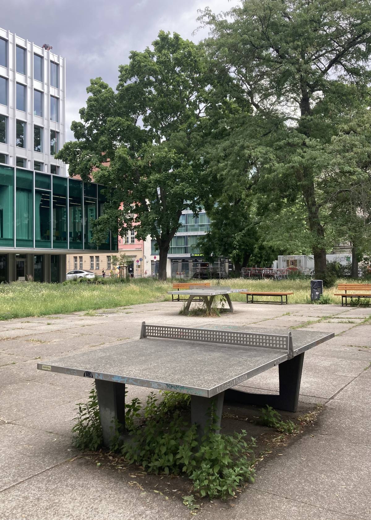 Tischtennis bei Reinhardtstraße