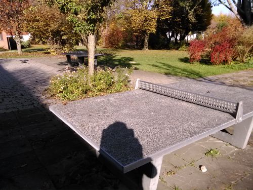 Tischtennis bei Schäfflerstraße