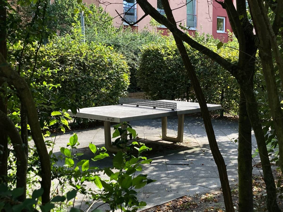 Tischtennis bei Salvador-Allende-Straße