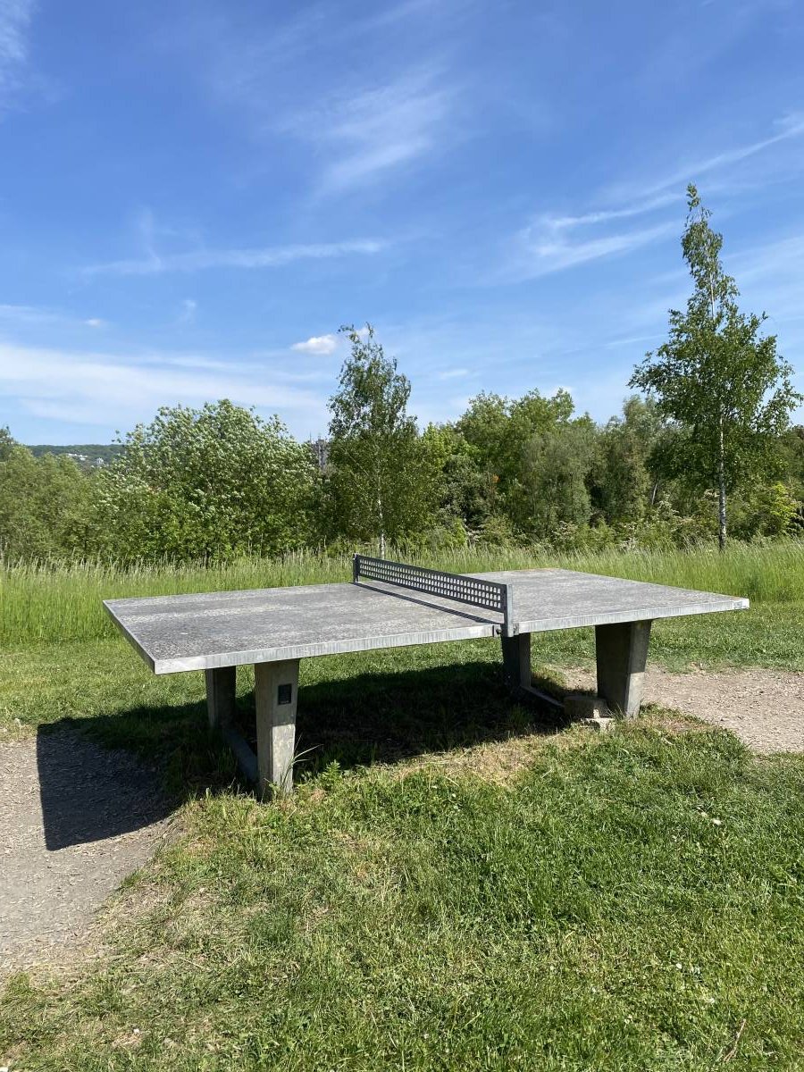 Tischtennis bei Jheringstraße