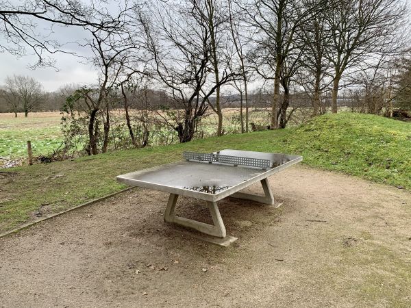 Tischtennis bei Olloweg