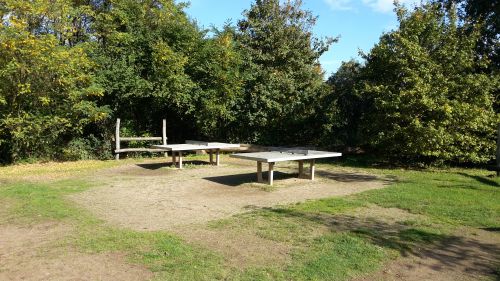 Tischtennis bei Am Alten Gerauer Weg