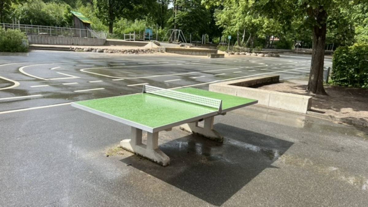 Tischtennis bei Ole Wisch