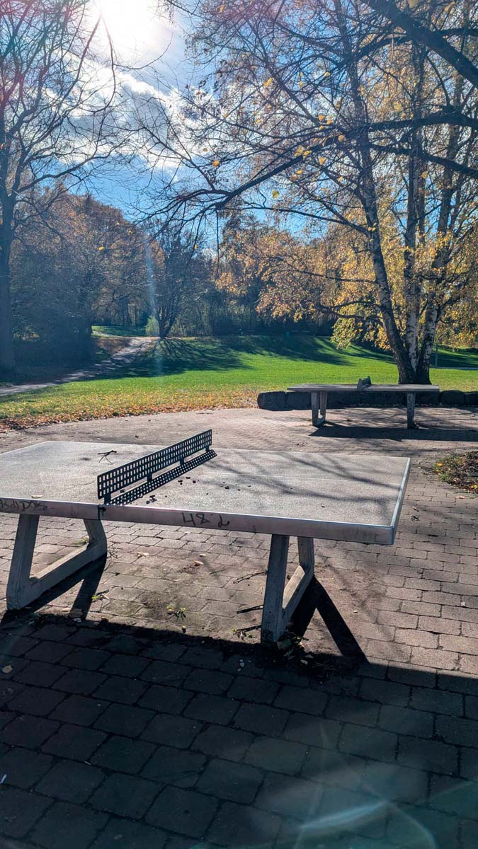 Tischtennis bei Falknerweg
