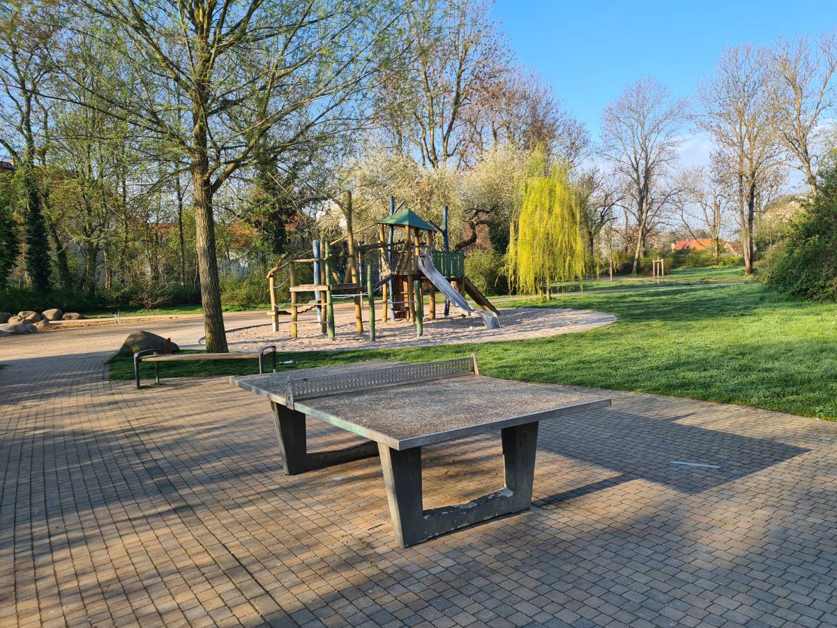 Tischtennis bei Seegeritzer Straße