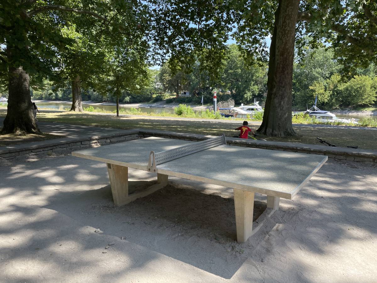 Tischtennis bei Mainzer Str. 107B