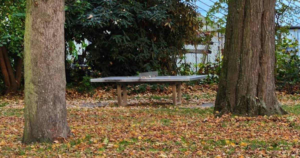 Tischtennis bei Volmerswerther Straße