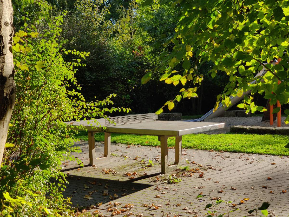Tischtennis bei Vennhauser Allee