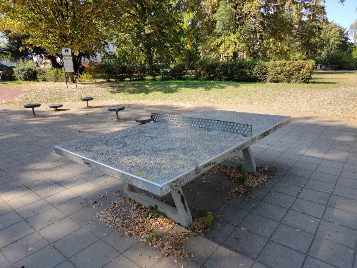 Tischtennis bei Bodenbacher Str. 53