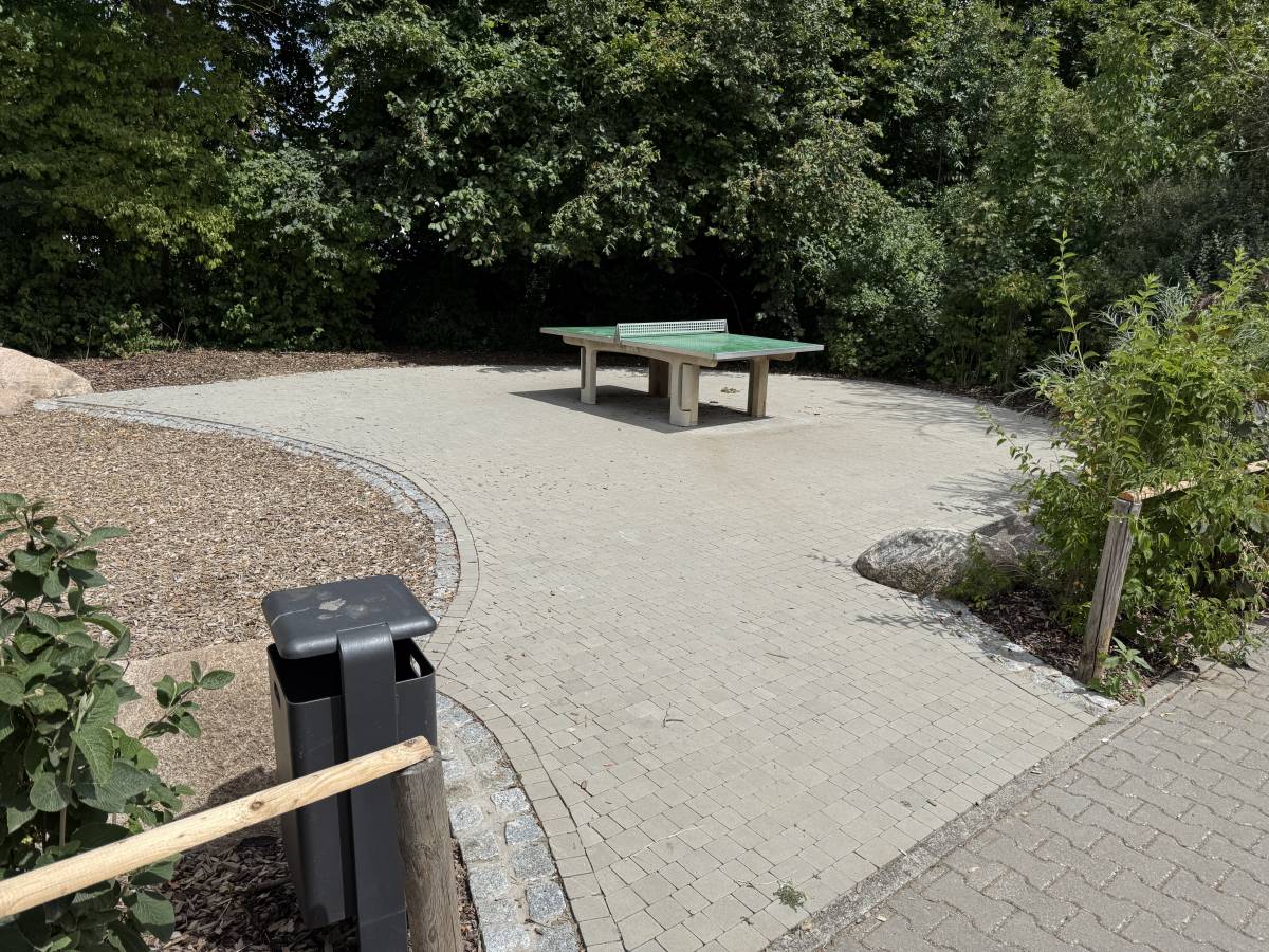 Tischtennis bei Anemonenweg