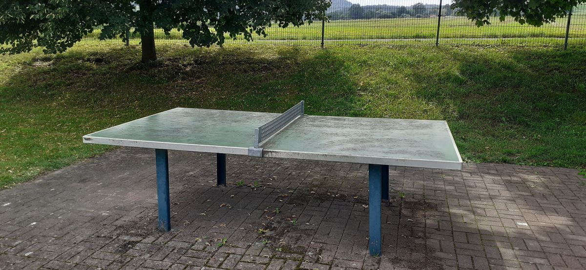 Tischtennis bei Wildbahn