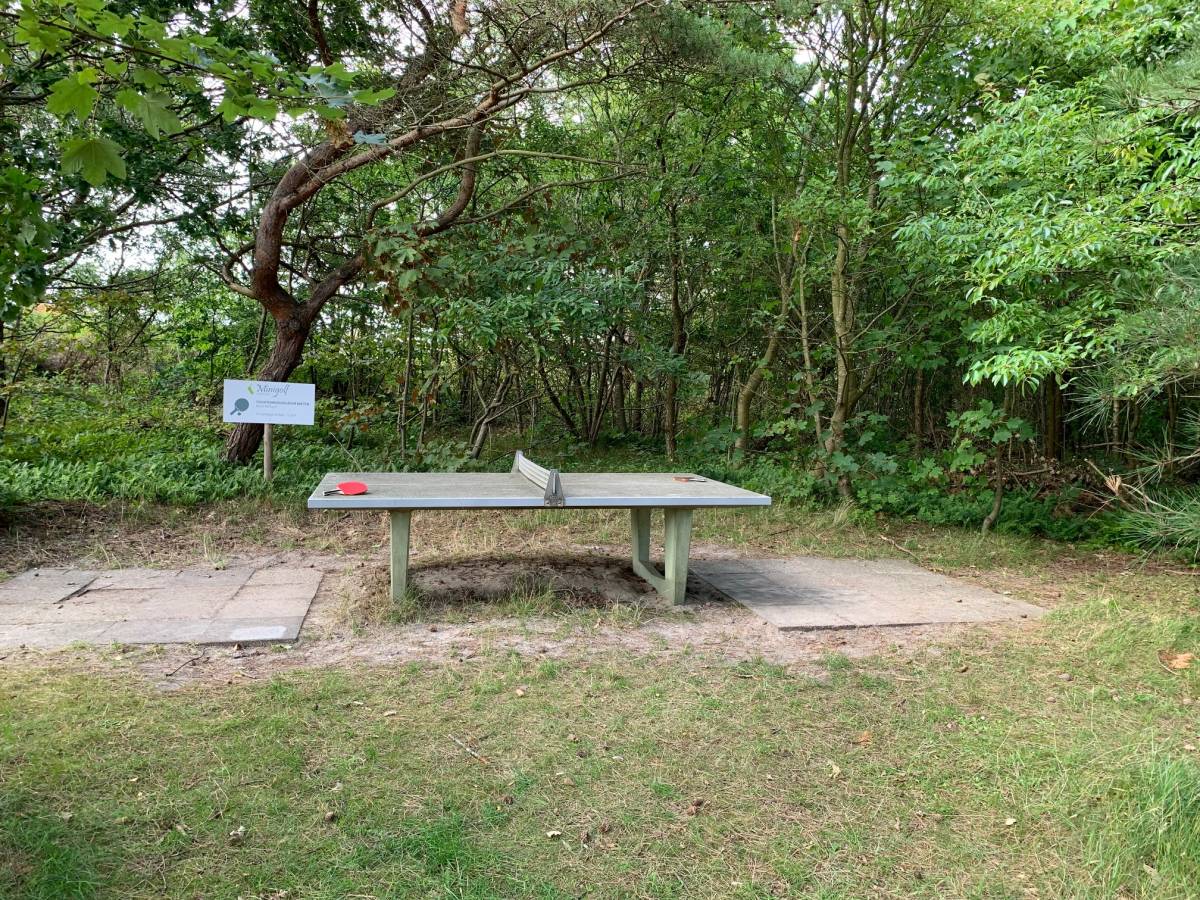 Tischtennis bei Düüwdääl