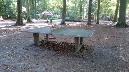 Tischtennis bei Bezirk Reinickendorf