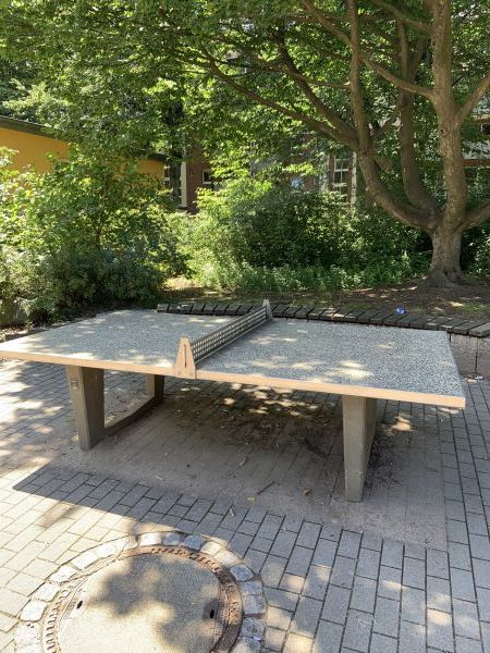 Tischtennis bei Alter Teichweg