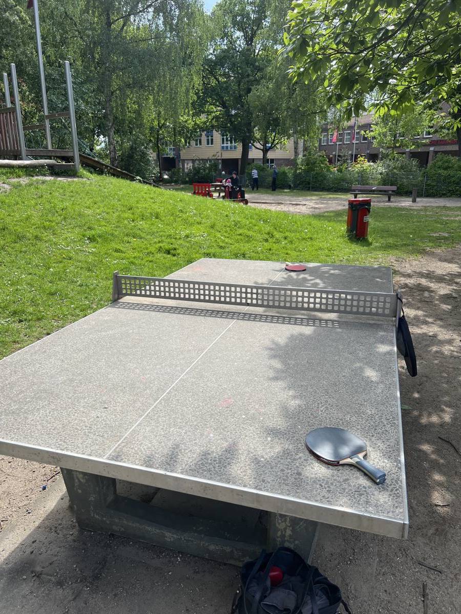Tischtennis bei Flachsland