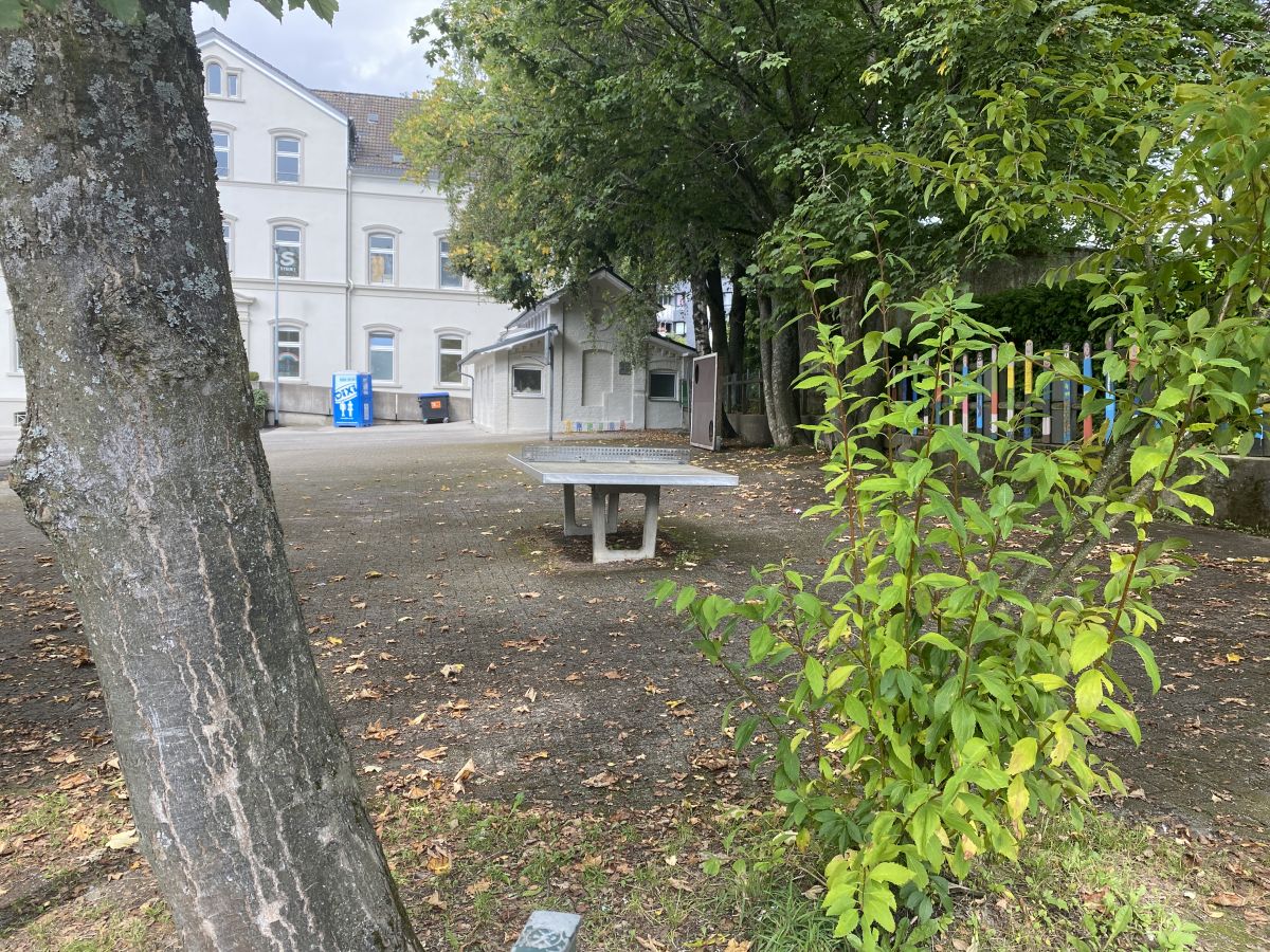 Tischtennis bei Albrecht-Thaer-Straße