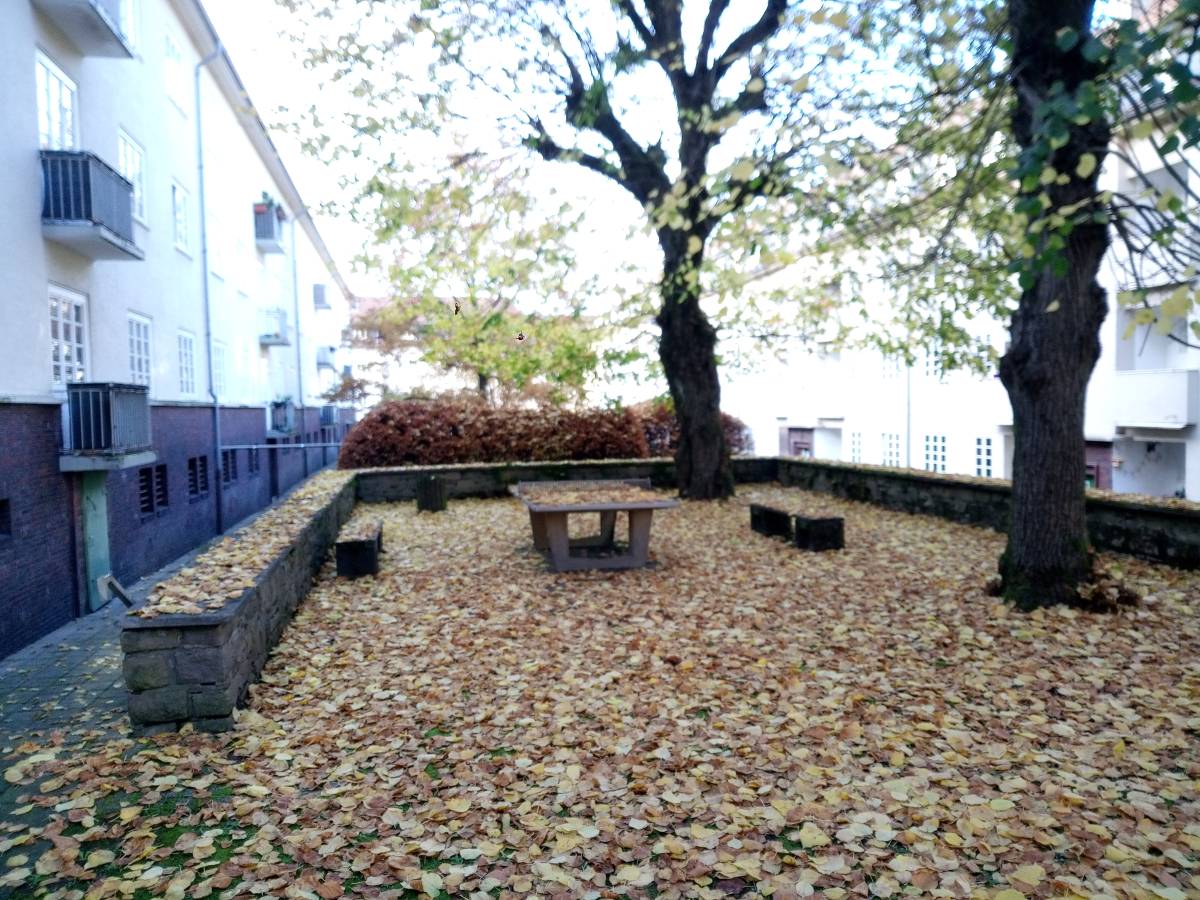 Tischtennis bei Im Springen