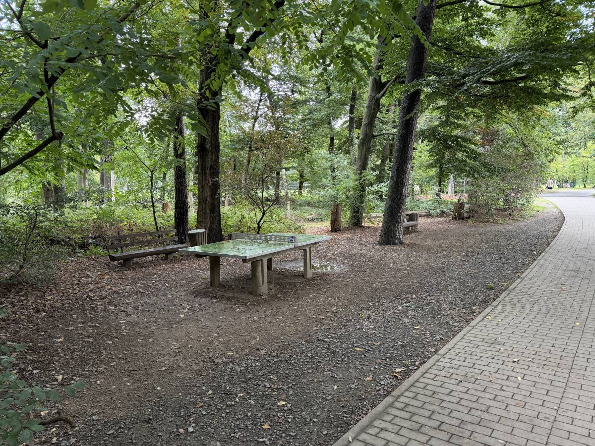 Tischtennis bei Kurt-Schumacher-Straße