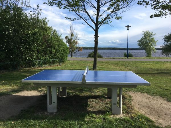 Tischtennis bei Buchwalder Straße