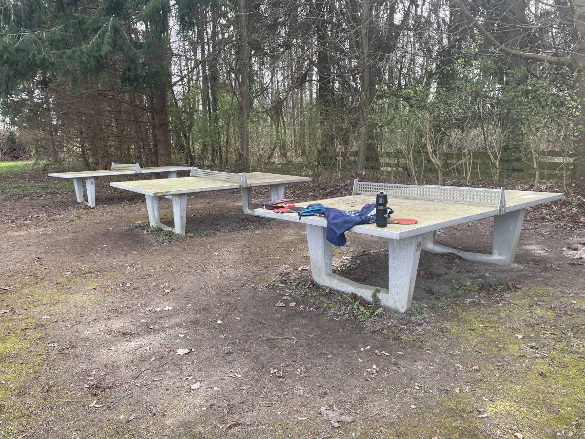 Tischtennis bei Seepark
