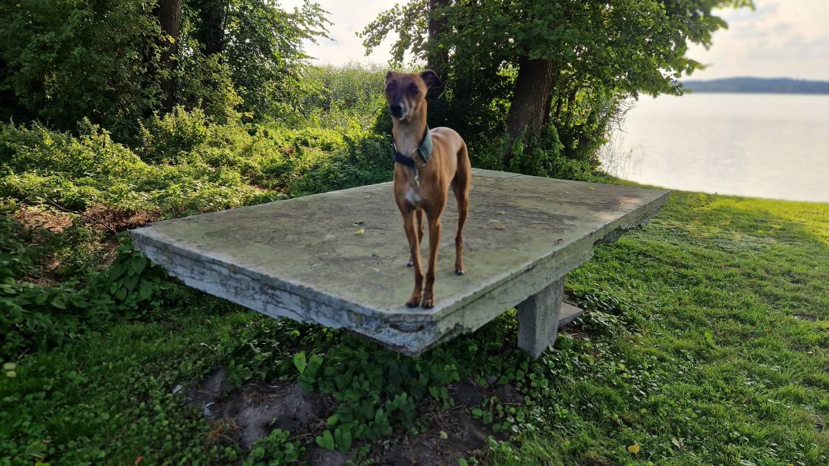 Tischtennis bei Turnersruh