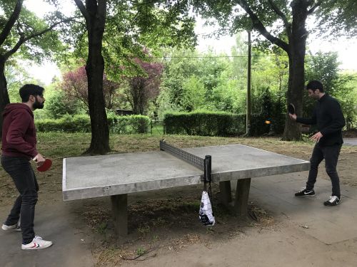 Tischtennis bei Wendelsweg