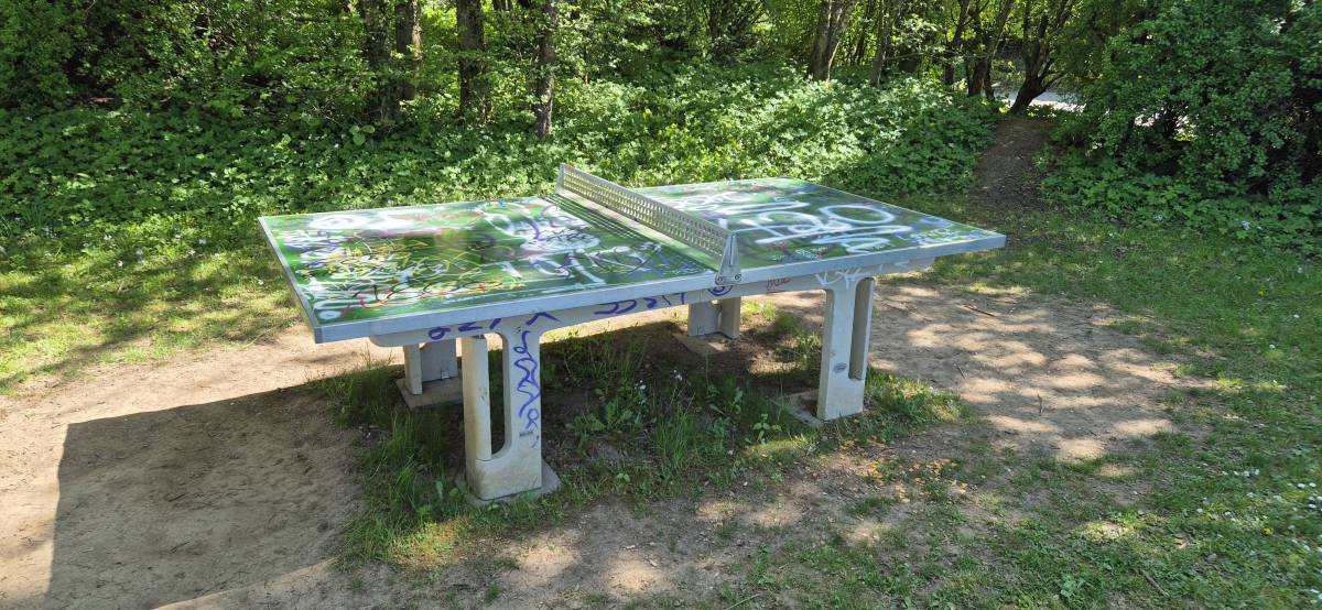 Tischtennis bei Weißdornbogen