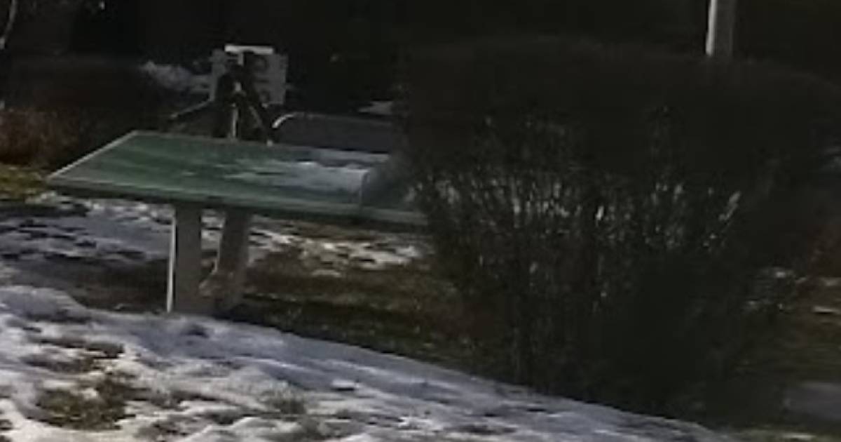 Tischtennis bei Stöckenhalde