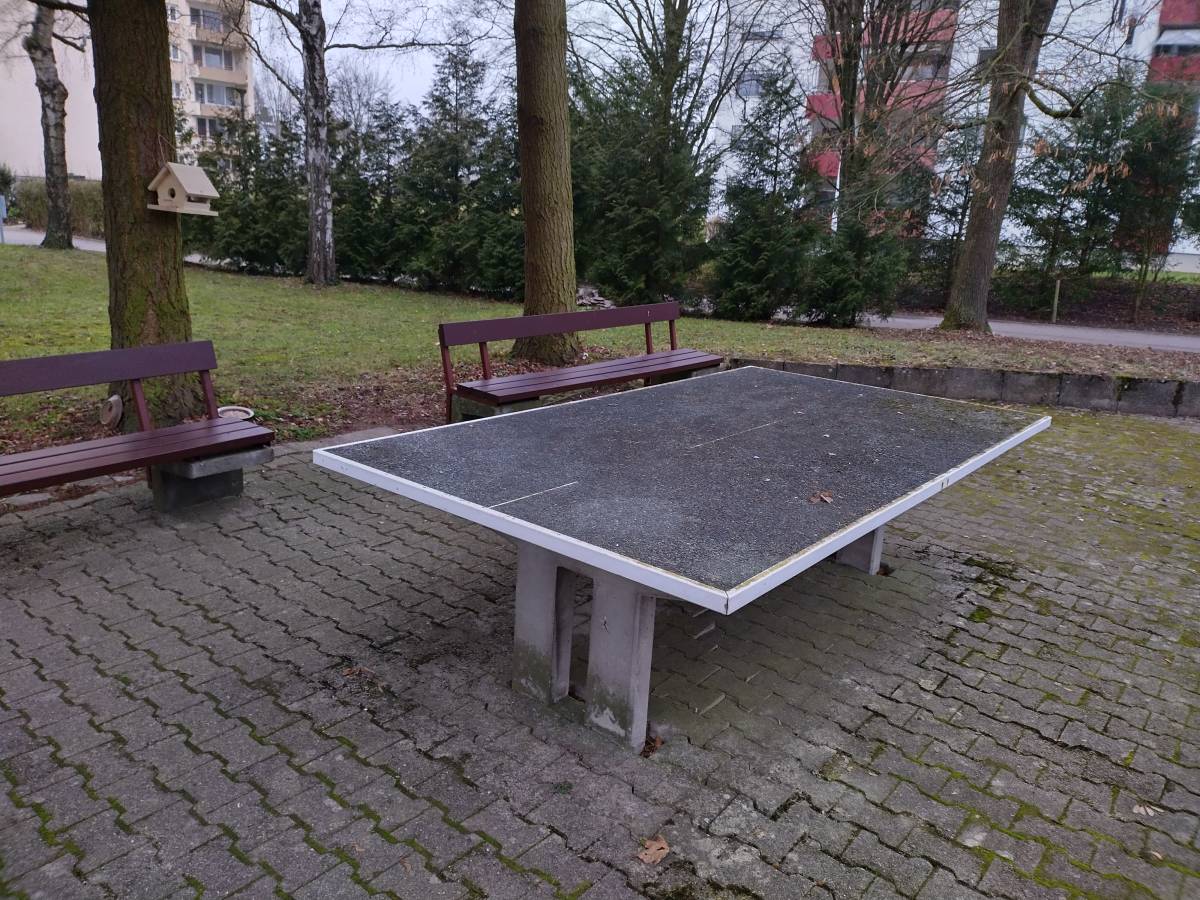 Tischtennis bei Hagenbacher Ring
