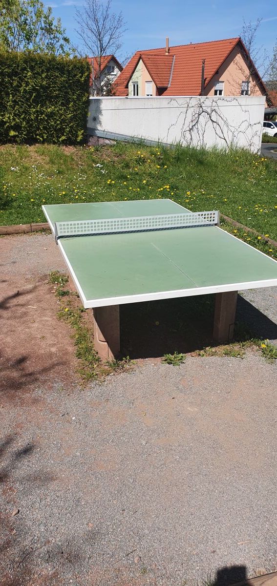 Tischtennis bei Pappermannstraße