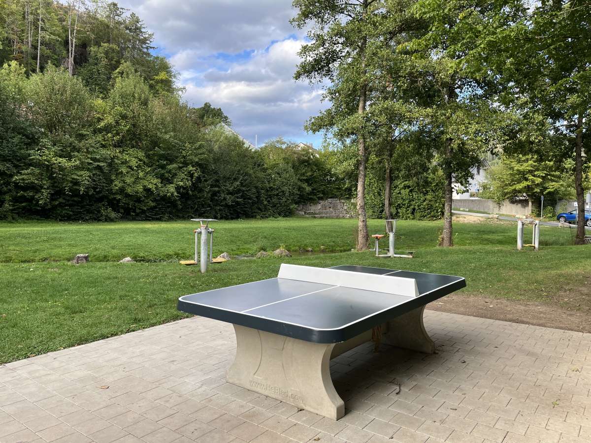 Tischtennis bei St 2231