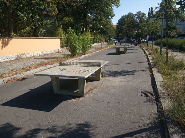 Tischtennis bei Hessenallee 7