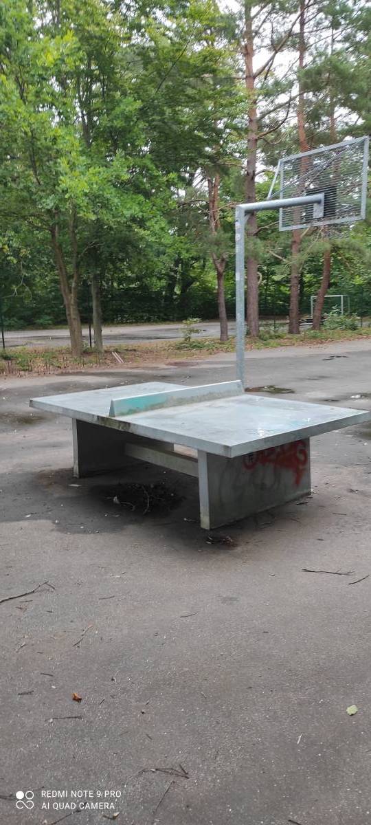 Tischtennis bei Ribnitzer Straße
