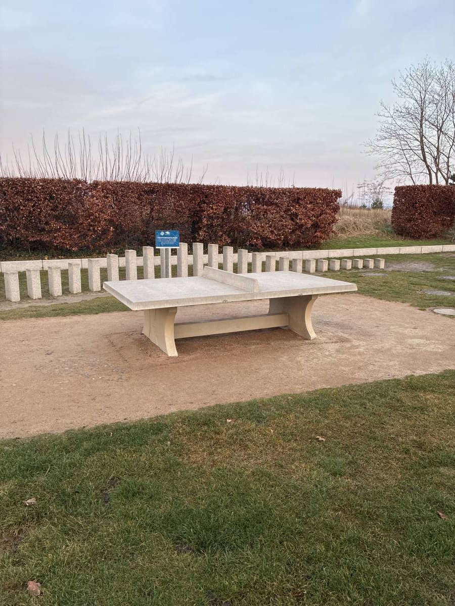 Tischtennis bei Puschkinstraße